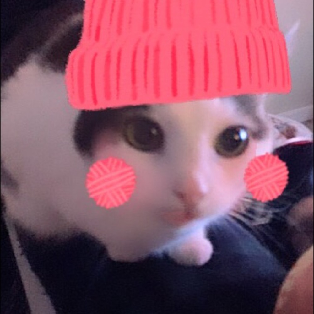 Meet your Posher, Rebecca